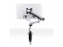 StarTech.com Monitor Desk Mount, VESA 75x75/100x100, 27/30-inch Screens - Tilbake