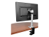 StarTech.com Monitor Desk Mount - Tilbake