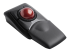 Kensington Expert Mouse Wireless Trackball - Tilbake